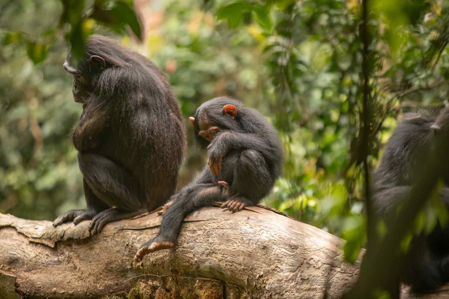 Uganda202109200820550458