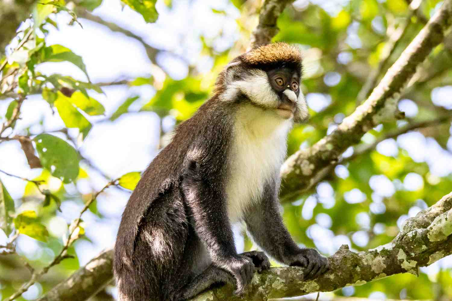Uganda202109200904150516